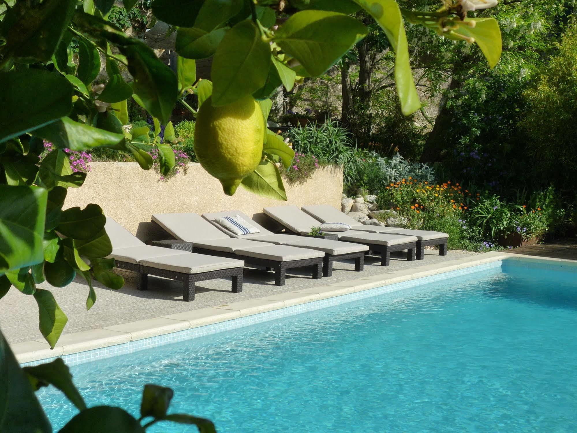 L'Ile Aux Mimosas Bed & Breakfast Tautavel Екстериор снимка